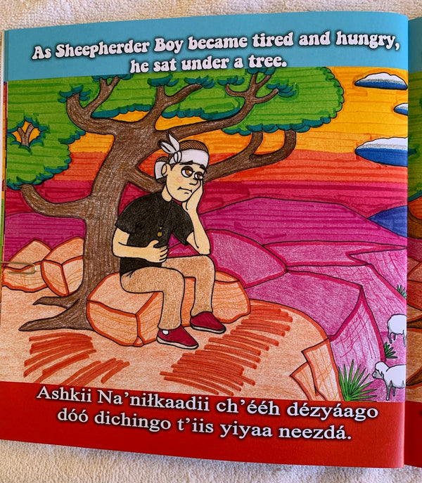 Sheepherder boy book