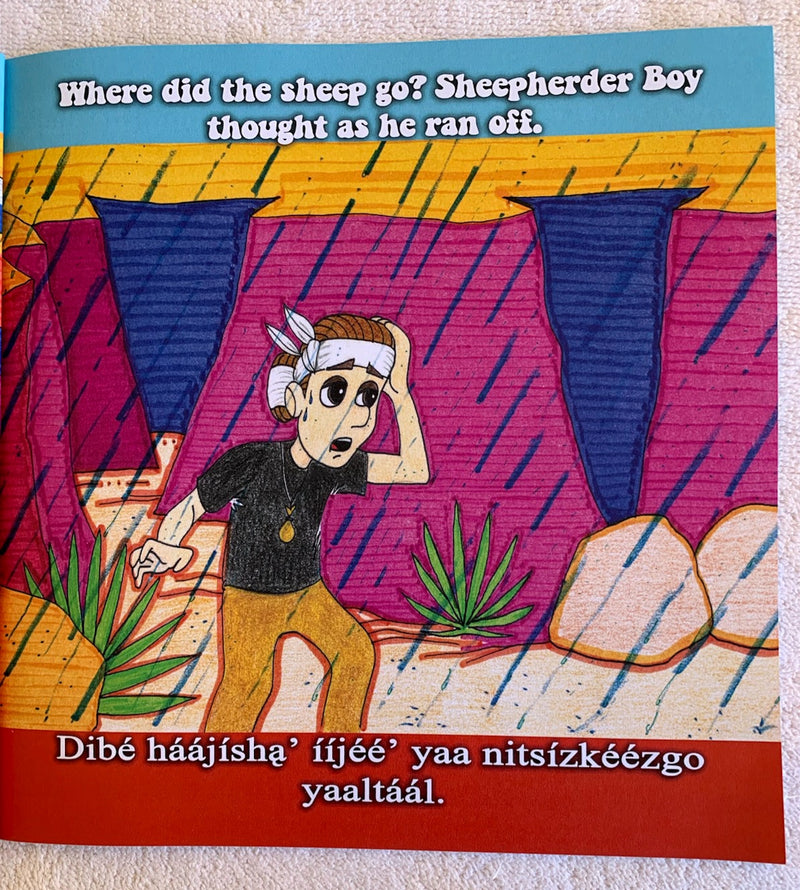 Sheepherder boy book